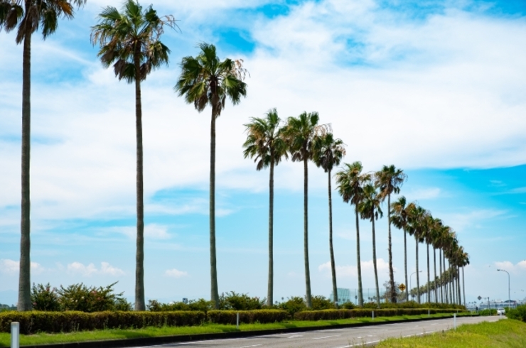 宮崎　道